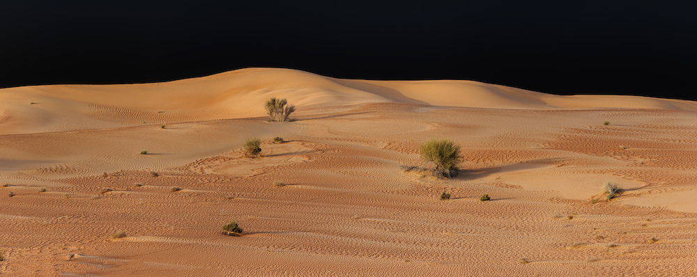 Al Maha desert, Dubai UAE